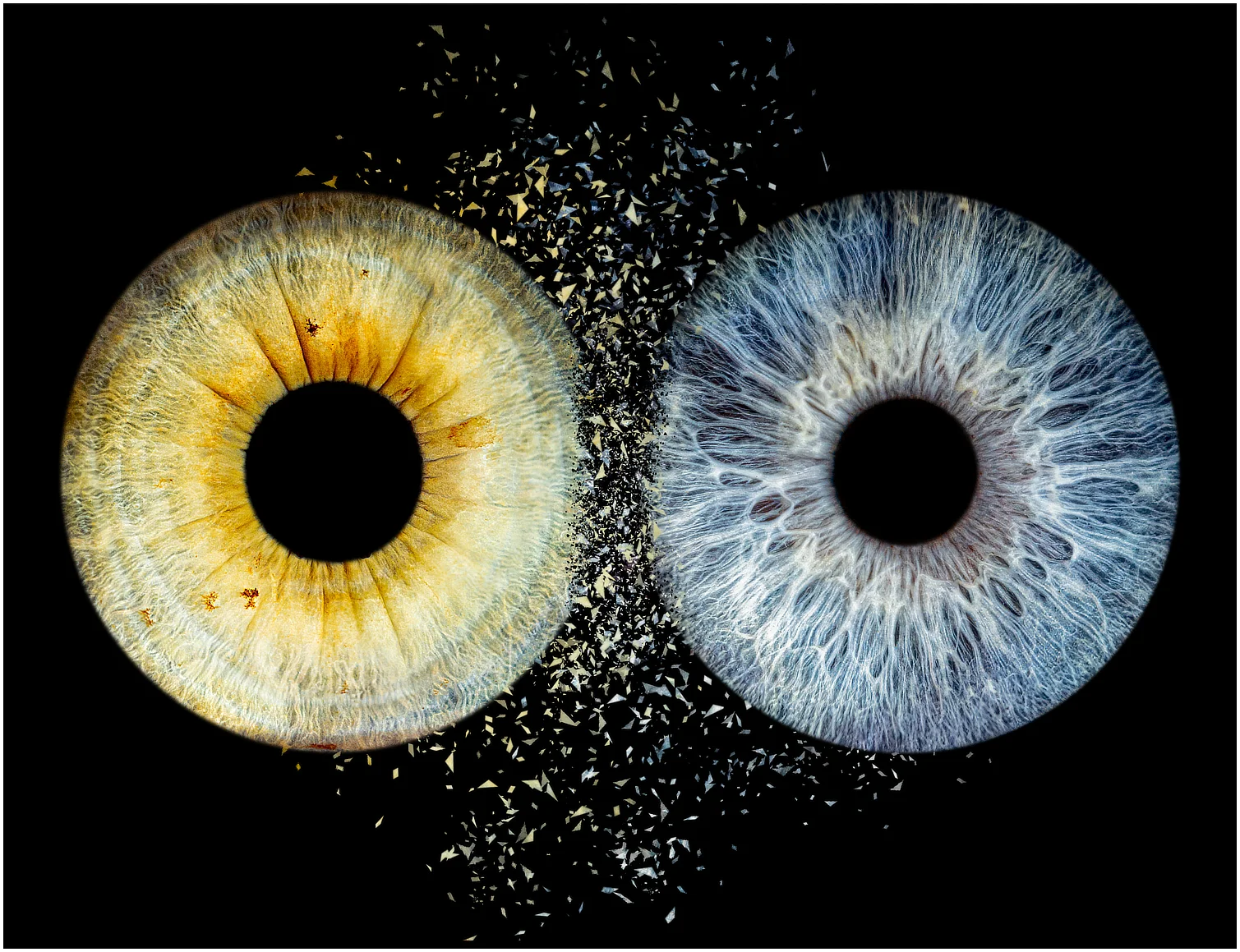 Photographe iris Fontoy