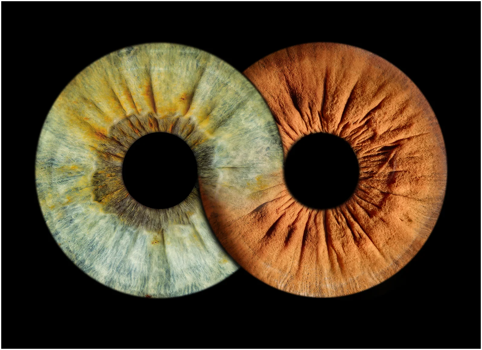 Photographe iris Fontoy - Duo Effet Infini