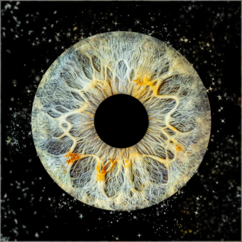 Photographe iris Fontoy - Effet poussières d'étoiles