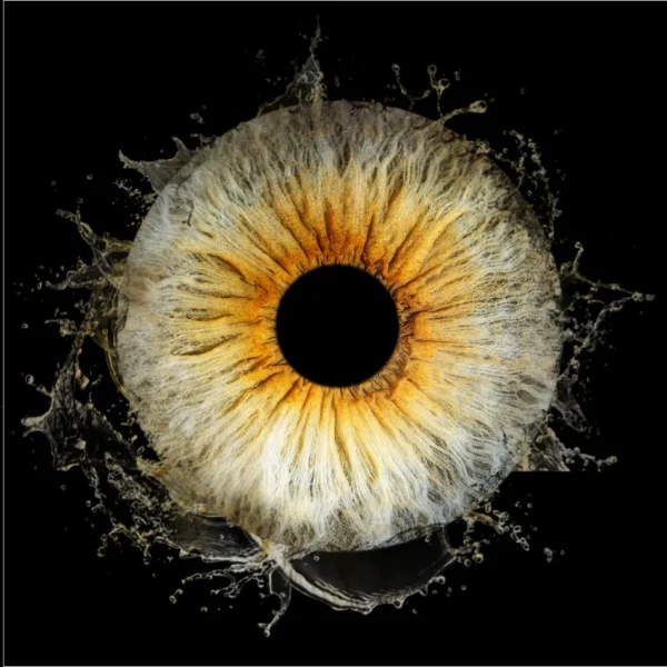 Photographe iris Fontoy - Effet Aqua color