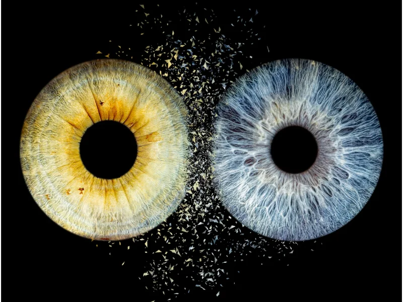 Photographe iris Fontoy