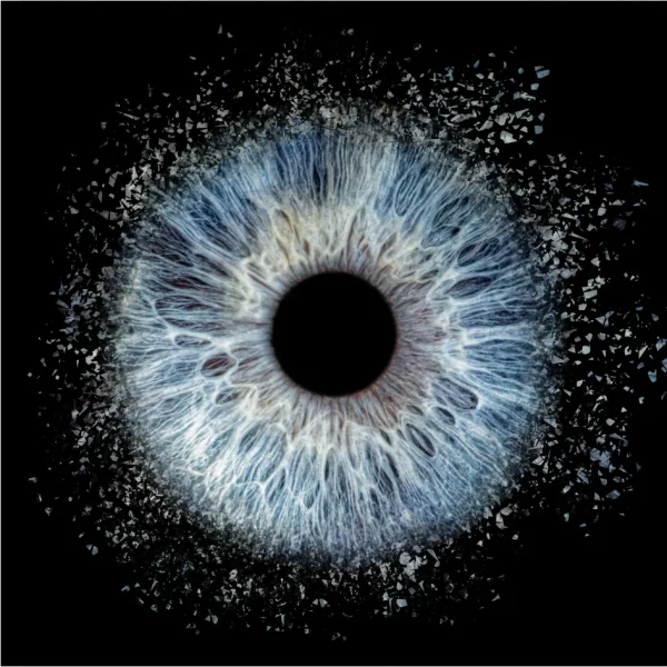 Photographe iris Fontoy - Iris explosion